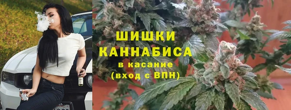 не бодяженный Верхний Тагил