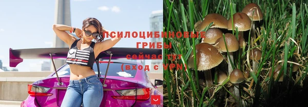 трава Володарск
