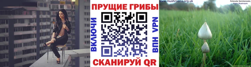 Псилоцибиновые грибы мухоморы  Купить где  Луга 