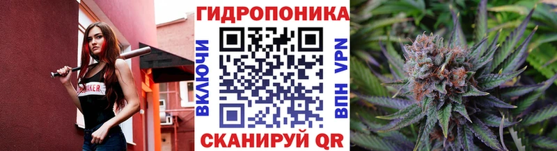 Купить где  Луга  Каннабис гибрид 